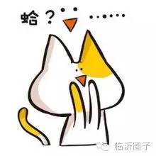 山东前三季度增量,2019山东第三季度薪酬排名