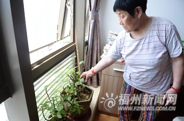 闽都大家｜“左联”烈士蒲风遗孤黄安榕：50年勇往直前的精神追寻