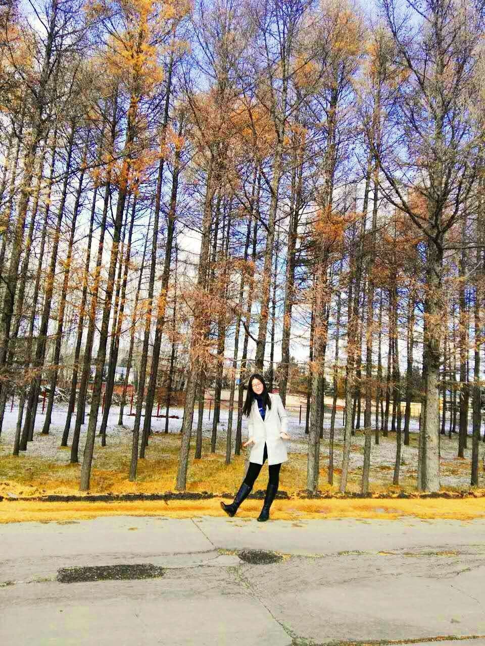 从陌生到熟悉一点一滴的回忆,从陌生到认识到短暂相聚