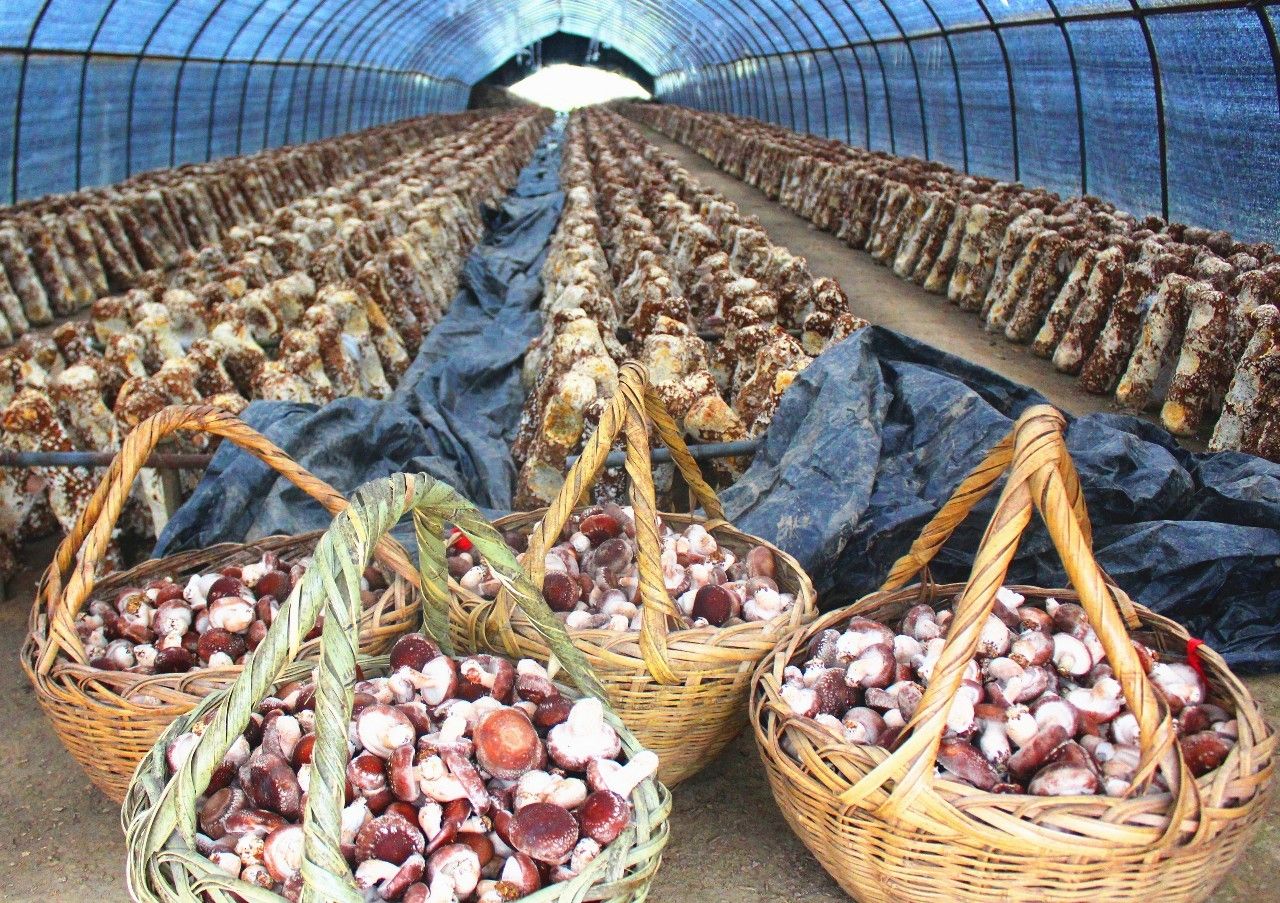 安徽滁州10大最美乡村,滁州第二批美丽乡村名单