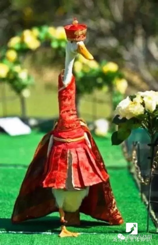 长春热企提前开栓供热,长春热企最新动态