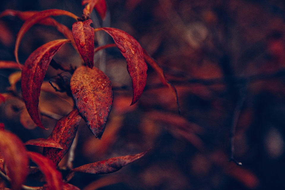 怀柔喇叭沟门南猴顶景区,怀柔喇叭沟门高档民宿