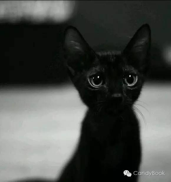 榛戝柕杩囩▼閲嶈杩樻槸缁撴灉閲嶈,榛戝柕浠ュ悗杩橀渶涓嶉渶瑕侀伩瀚屼簡