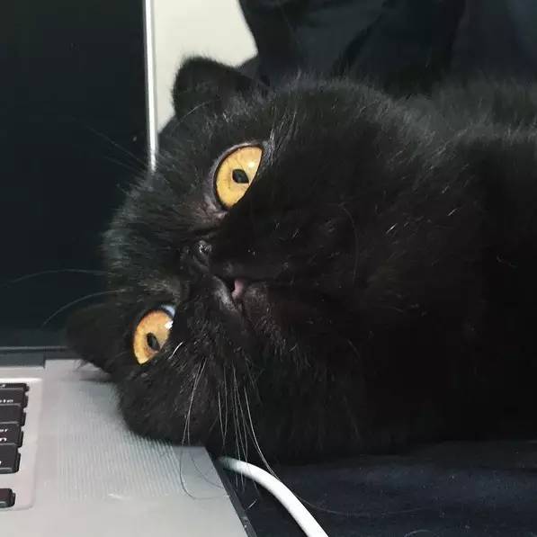 榛戝柕杩囩▼閲嶈杩樻槸缁撴灉閲嶈,榛戝柕浠ュ悗杩橀渶涓嶉渶瑕侀伩瀚屼簡