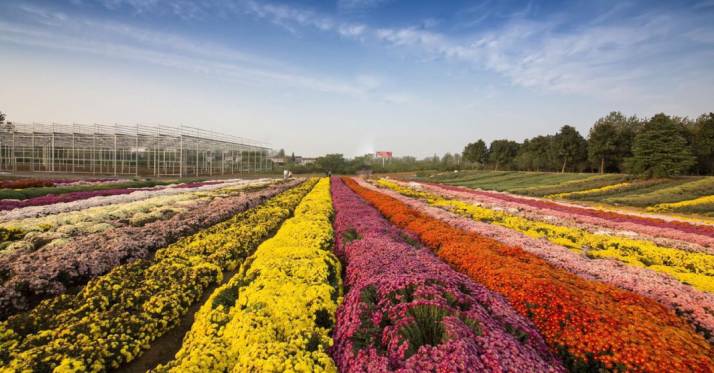 安徽滁州10大最美乡村,滁州第二批美丽乡村名单