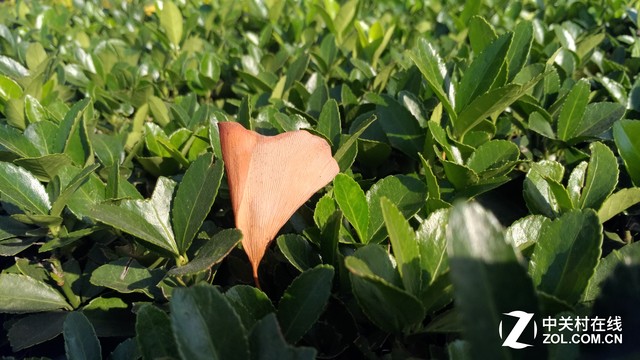 华硕zenfone3拆机,华硕zenfone11评测