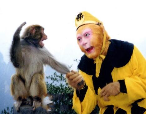 鍏皬榫勭姣嶄翰杩戝喌,鍏皬榫勭姣嶄翰鐜扮姸