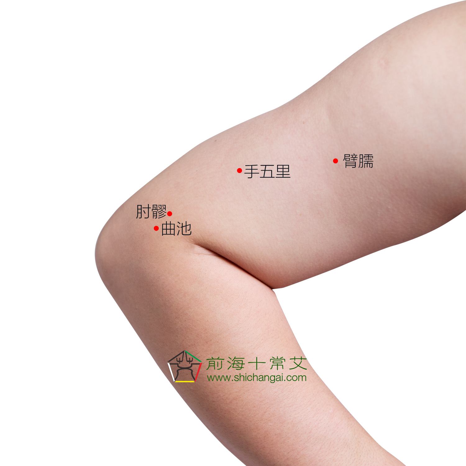 秋天防鼻炎的最佳方法,鼻炎灸艾灸灸什么部位