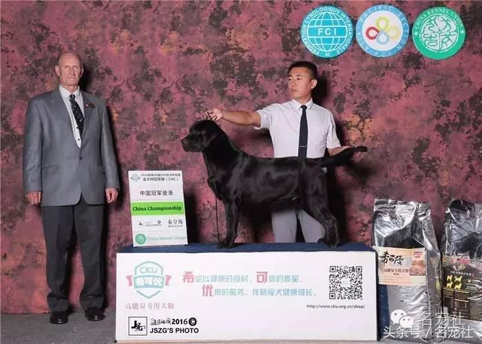 优基10kg中型犬粮,优基小型犬全价幼犬粮