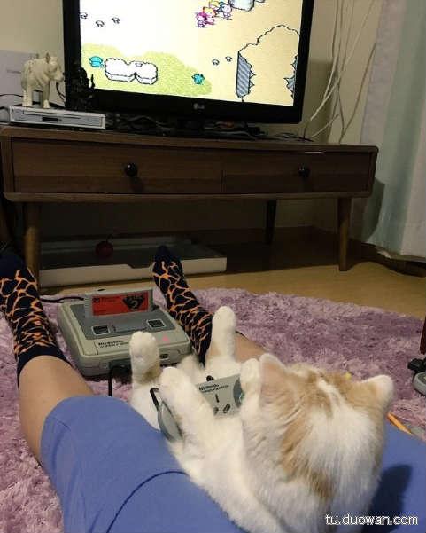 行尸走肉第一季到第十季存活的人,今日囧图最新更新