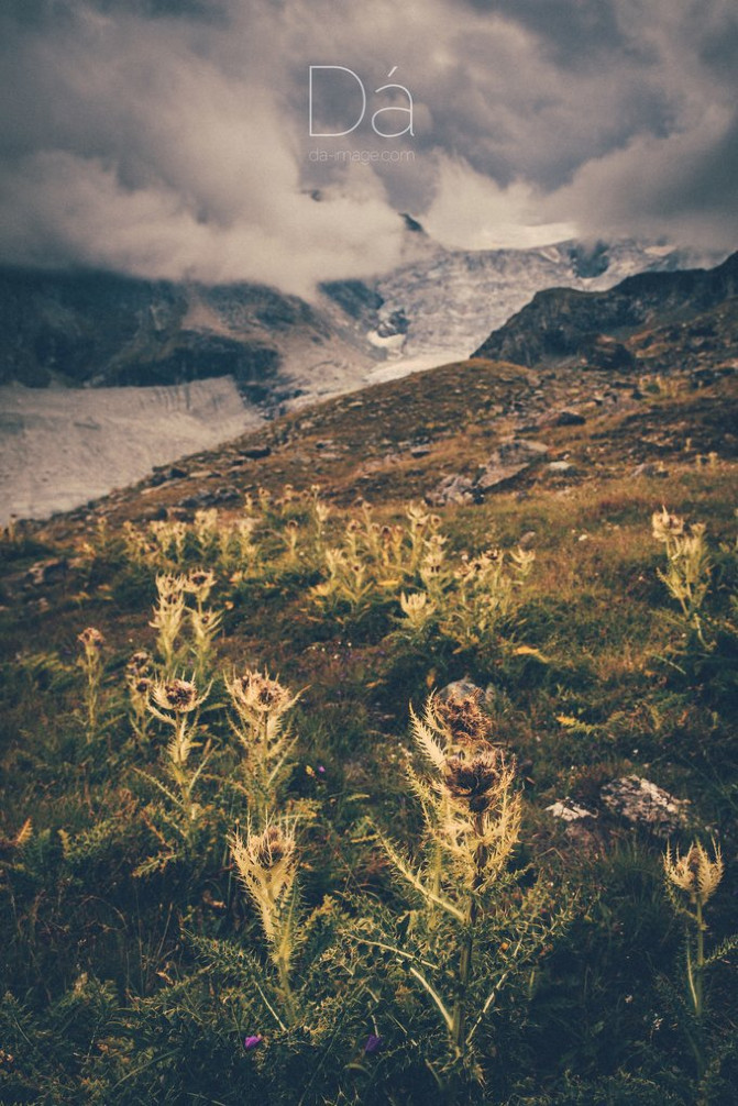 阿尔卑斯山徒步视频大全,瑞士阿尔卑斯山脉徒步实测