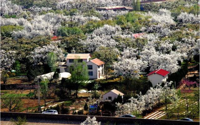 中国城市综合排名五十强兰州,兰州跌出百强城市