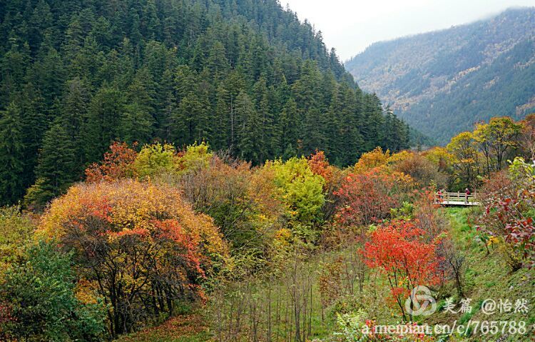 九寨沟让人失语的美丽童话世界,九寨沟有没有童话世界的景点