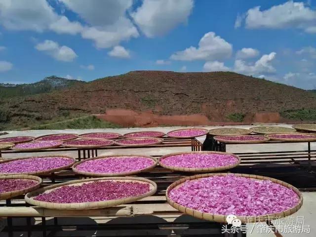 肇庆最新重磅消息,广东肇庆新消息