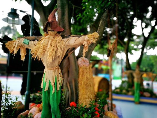 万圣节僵尸旅行,万圣节长隆9个鬼屋全玩时间赶吗