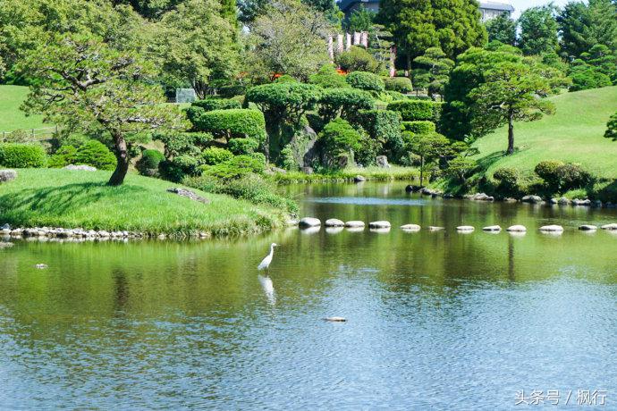 酷ma萌陪伴机器人熊本熊,酷ma萌和熊本熊