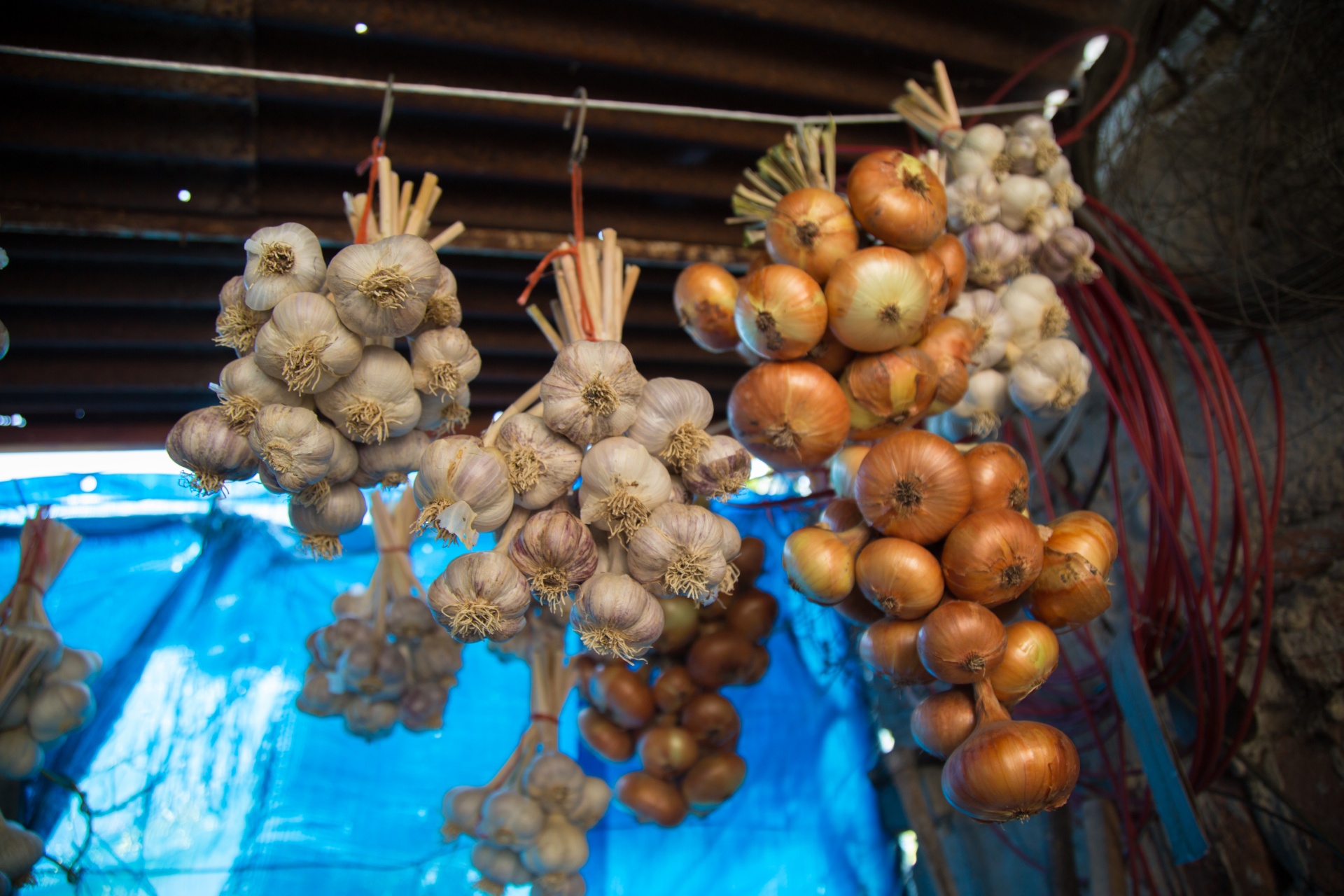 种植大蒜可以剥皮种吗,大蒜种在种植前用不用用清水浸泡