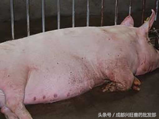 浜у悗姣嶇尓渚跨濡備綍瑙e喅,浜у悗姣嶇尓渚跨濡備綍娌荤枟