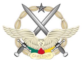 该非洲国家足球能甩中国几条街，可是军事实力实在有点弱