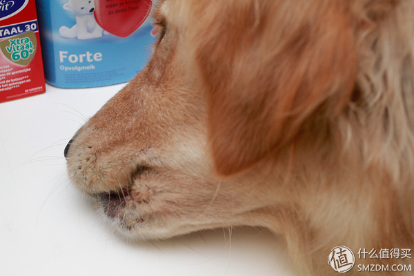 备孕婚前体验,备孕亲身经历和感受