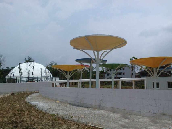 厉害了word哥图片,厉害了word哥视频