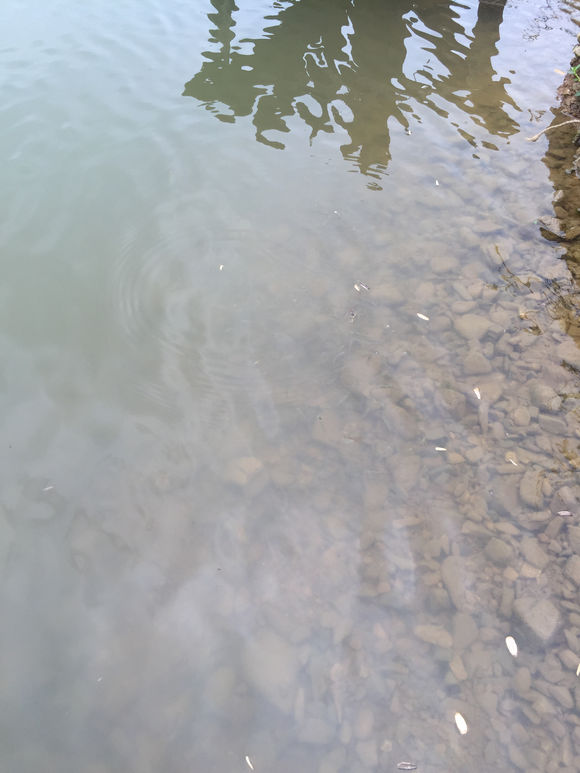 新手钓鱼，用2000的竿子，值不值？