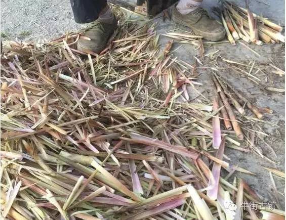 牛街自述，看完再也不嫌弃你了~~~