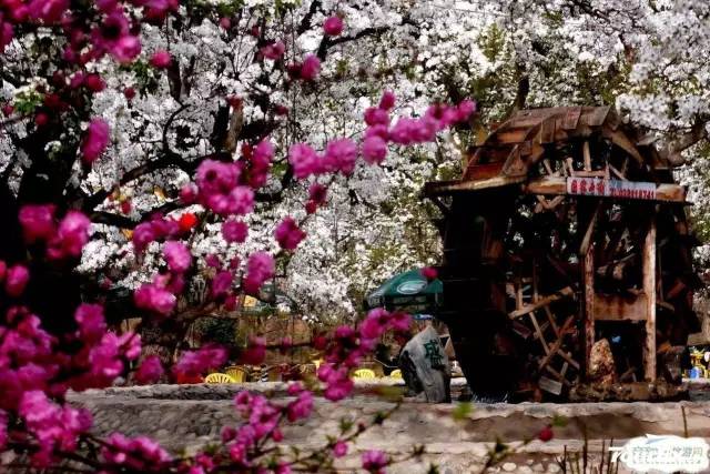 中国城市综合排名五十强兰州,兰州跌出百强城市