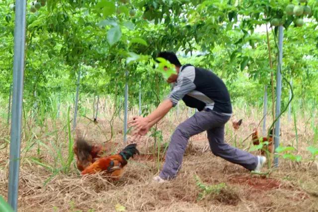 港南区哪里好玩,港南市哪里好玩