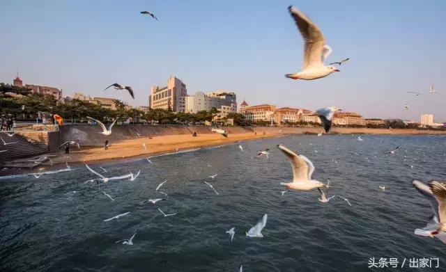 “乐活”青岛,“山居”生活,附上青岛必游之地和住宿指南!