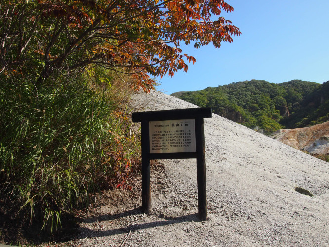 初秋日本快步东京，慢行北海道，泡汤美食8日