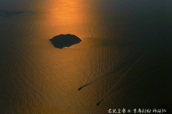 太平洋小小岛国帕劳貌似已被中国人全面占领