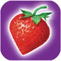 双11京东还是淘宝划算,双11在京东上还是淘宝上买会便宜