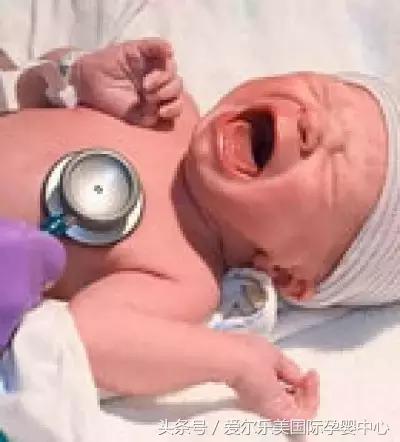 新生儿出生护理视频,关于新生儿出生后24小时内的护理