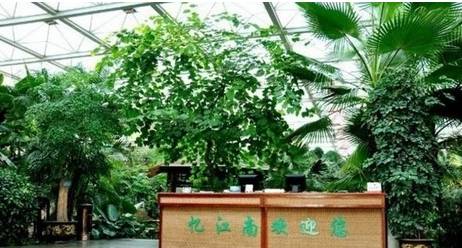 营口降温,营口温泉攻略