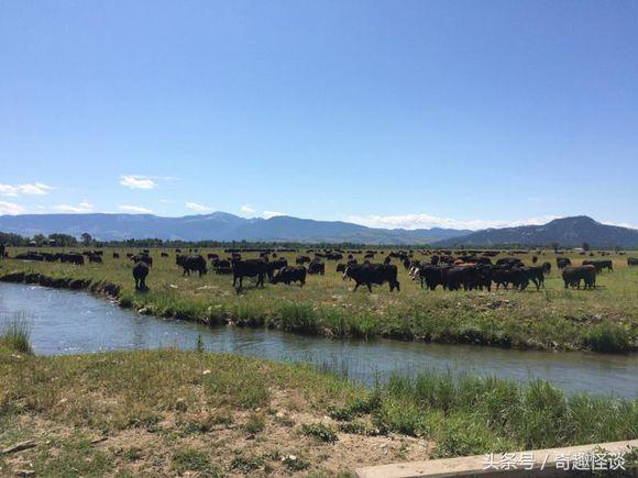 在美国旅游日常,在美国旅游攻略大全最新