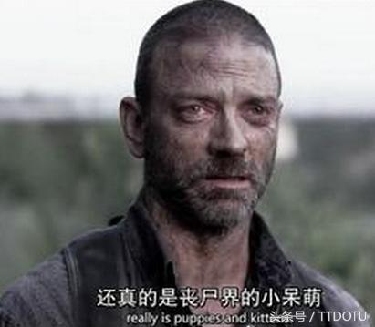 导演评价最好的电影,和行尸走肉比肩的丧尸剧