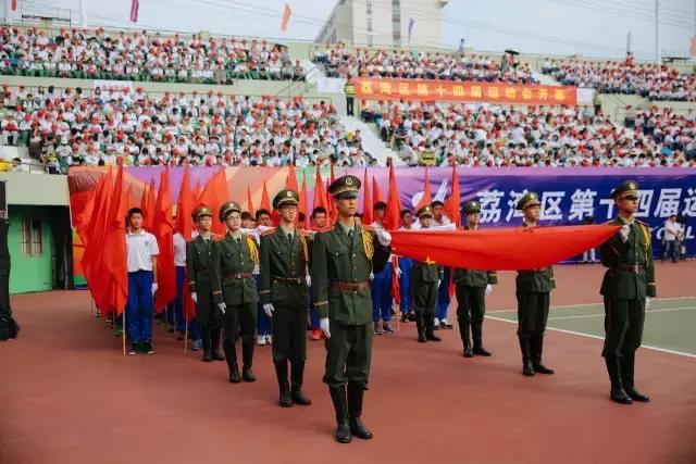 厉害了word视频,厉害了word