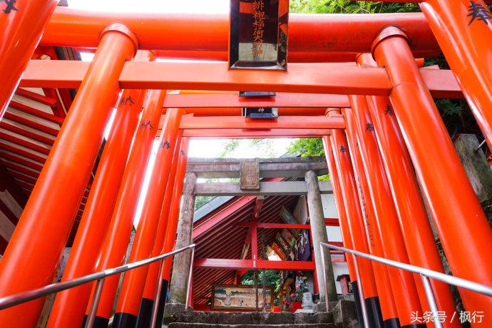 酷ma萌陪伴机器人熊本熊,酷ma萌和熊本熊