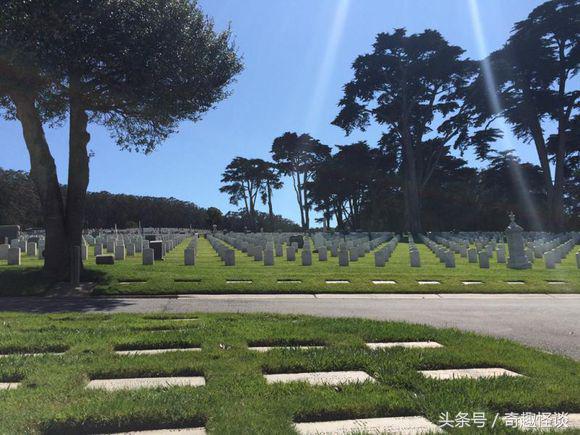 在美国旅游日常,在美国旅游攻略大全最新