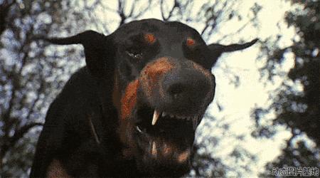 复合动物进化论,达尔文动物进化论观点