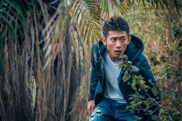 11月观影指南电影高清完整版,观影指南12月份片单请查收