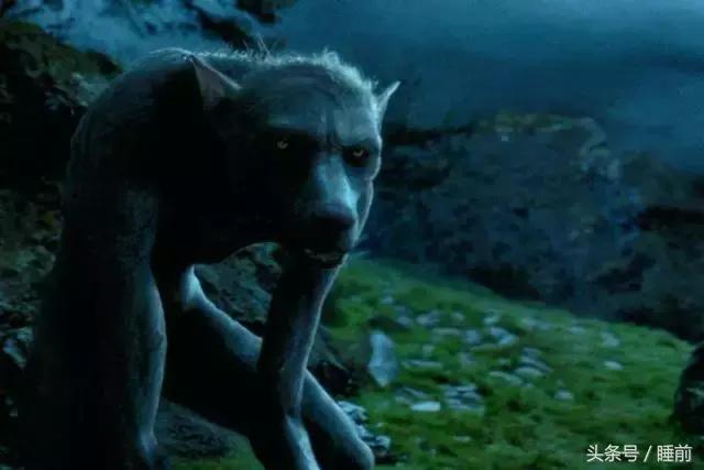 万圣节的趣味介绍,关于万圣节的趣味问题