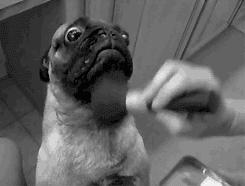 乐敦cc美白淡斑精华有用吗,乐敦cc祛痘印测评