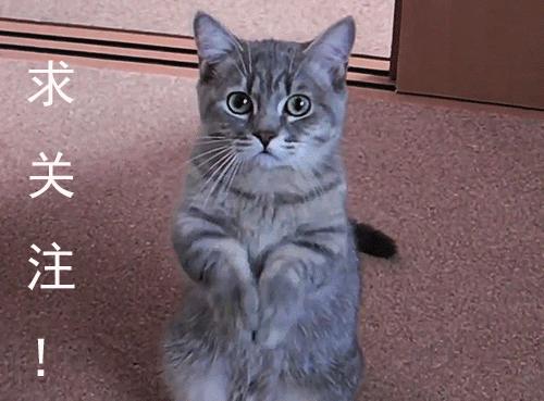 中国世界500强之路,500强的成功之道