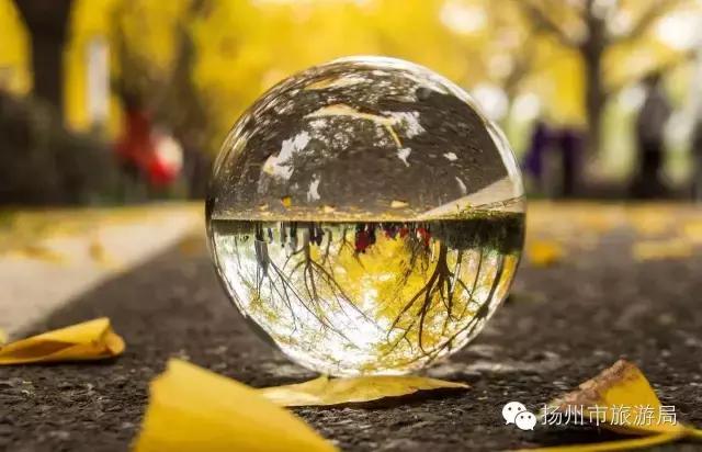 明日立冬,扬州最美的秋景都在这里啦!