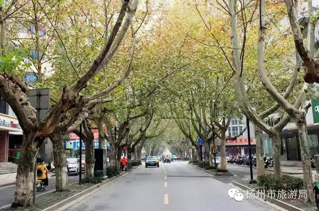 明日立冬,扬州最美的秋景都在这里啦!