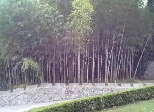 又到约泡季！这份徐州周边温泉大全，满足你一切幻想！