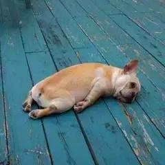 拒绝食品添加剂防腐剂,拒绝食品添加剂