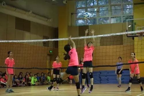 郎平在上海的这个细节,或许暴露了她至今未能续约的根本原因